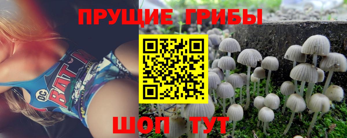 Псилоцибиновые грибы прущие грибы  Вход с VPN  Кыштым 